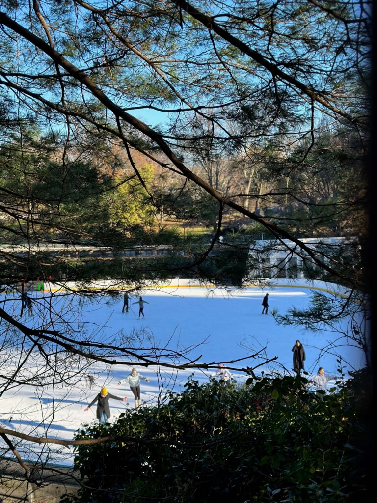skating in central park new York